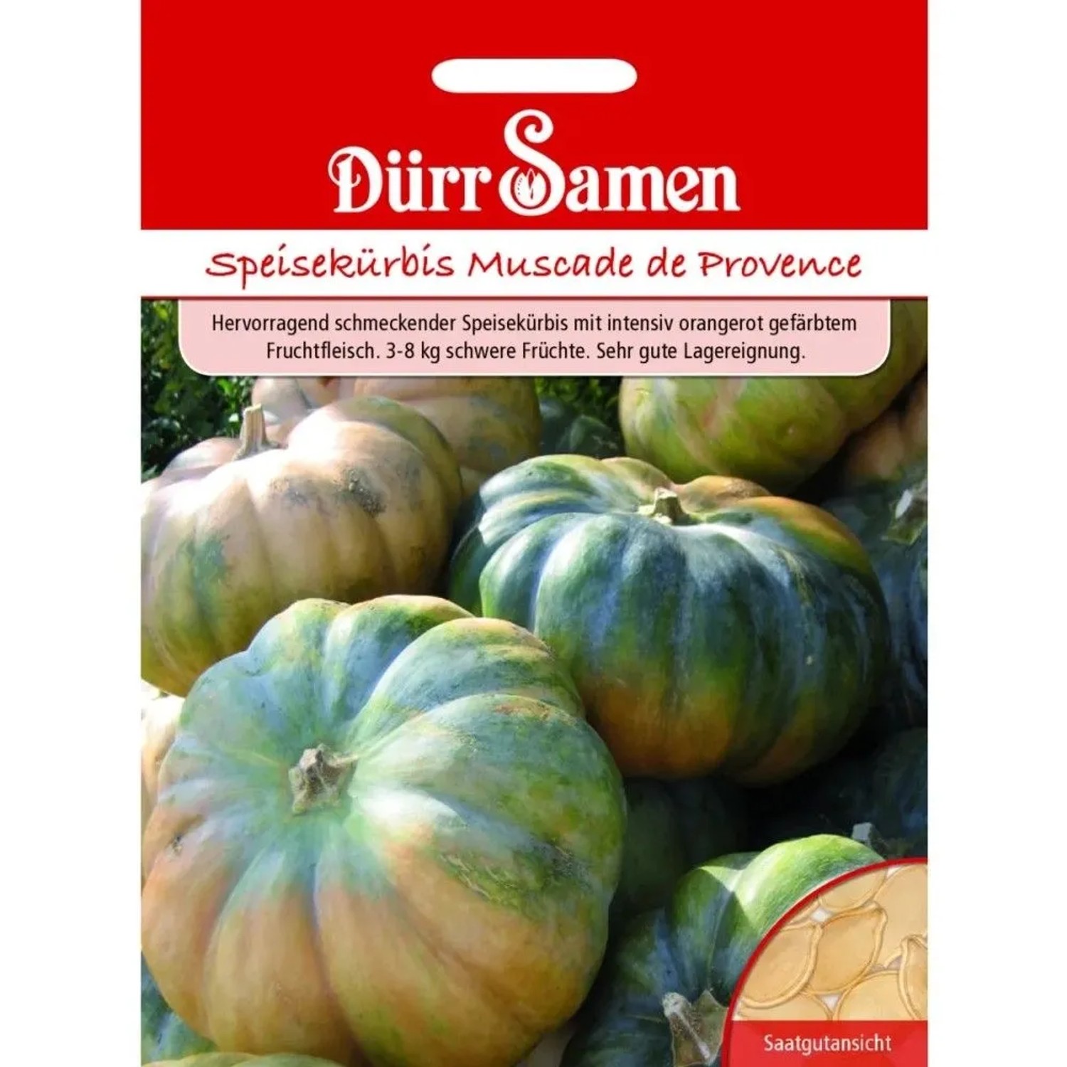 Dürr Samen Speisekürbis Muscade De Provence Saatgut