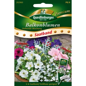 Quedlinburger Balkonblumen Saatband Mischung stehend, ideal für Balkonkästen.