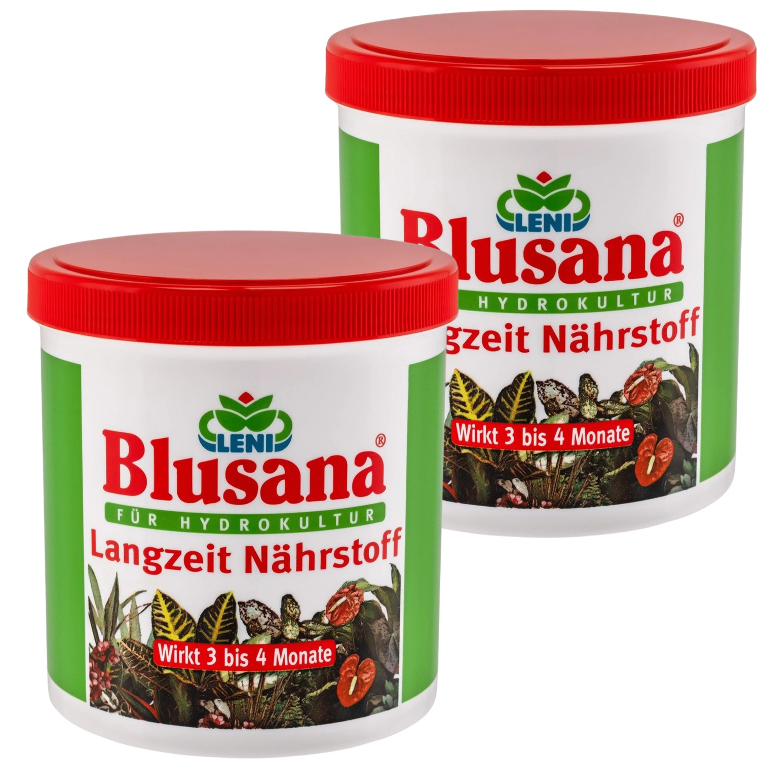 Blusana Hydrokultur Langzeitdünger Lewatit HD 50 NPK Dünger Zierpflanzen 1, günstig online kaufen
