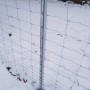 Aquagart Z-Profil Zaunpfosten 2m mit Wildzaun im Schnee.