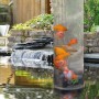 Acqua Arte Fischsäule im Teich mit Goldfischen. Teichdekoration mit Fischen in Säule.