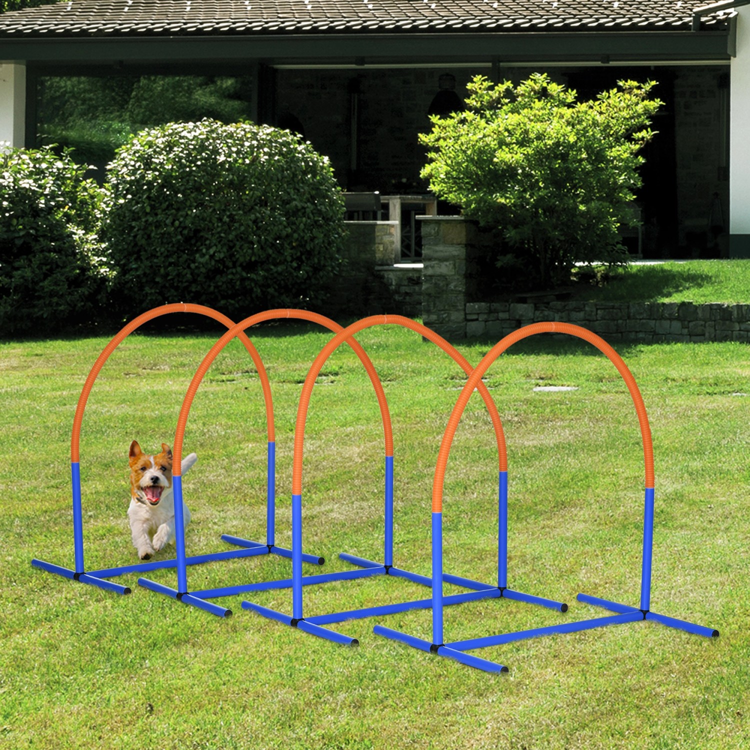 PawHut Hunde Agility Set mit 4 orangefarbenen Bögen und blauem Gestell auf Rasen. Hund springt durch.