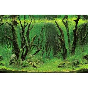 Hobby Fotorückwand: Dichte grüne Unterwasserlandschaft mit dunklen Wurzeln und hohen Wasserpflanzen für Aquarien.