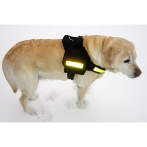 Schwarzes Heim Hunde-Spezialgeschirr Profi Gr. S mit Reflektorstreifen am Labrador.