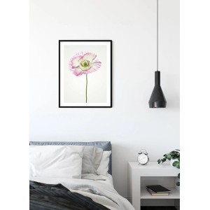 Wandbild Poppy (40x50 cm) von Komar mit zarter Mohnblume im schwarzen Rahmen.