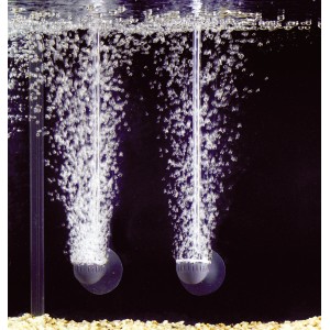 Eheim Ausströmer für Air Pump im Aquarium mit Luftblasen.