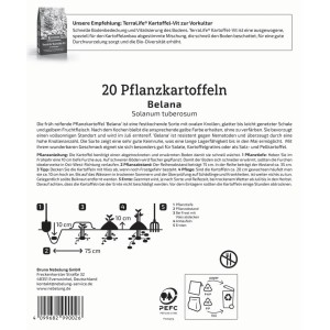 Kiepenkerl Pflanzkartoffel Belana, 20 St