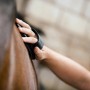 Pferdepflege: Hand bürstet ein Pferd. Equisept Fliegen- und Bremsenspray für Pferde ist empfohlen.