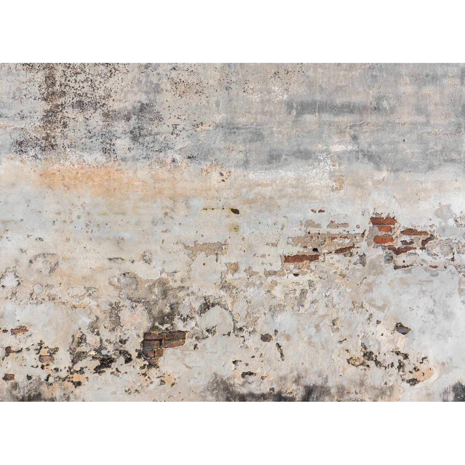 Fototapete Betonwand Industrial Vintage Grau Braun 3,50 m x 2,55 m FSC®