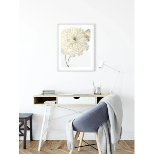 Komar Wandbild Illustration Dahlie, 50x70 cm. Dekoratives Bild einer zarten, weißen Blüte.