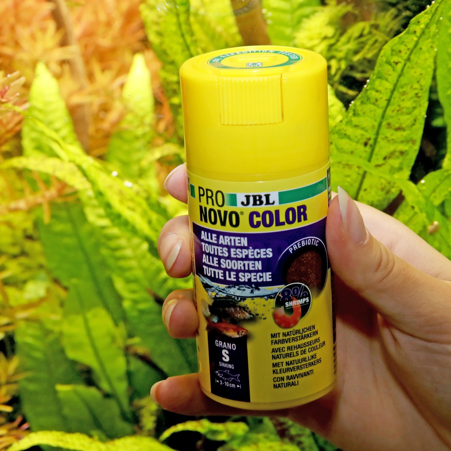 JBL Pronovo Color Grano S Fischfutter, 100ml Dose für Aquarienfische.