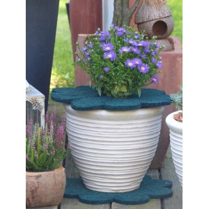 Grüne Mulchscheibe in Blumenform (Ø 37cm) umrahmt bepflanzten Topf als Winterschutz.