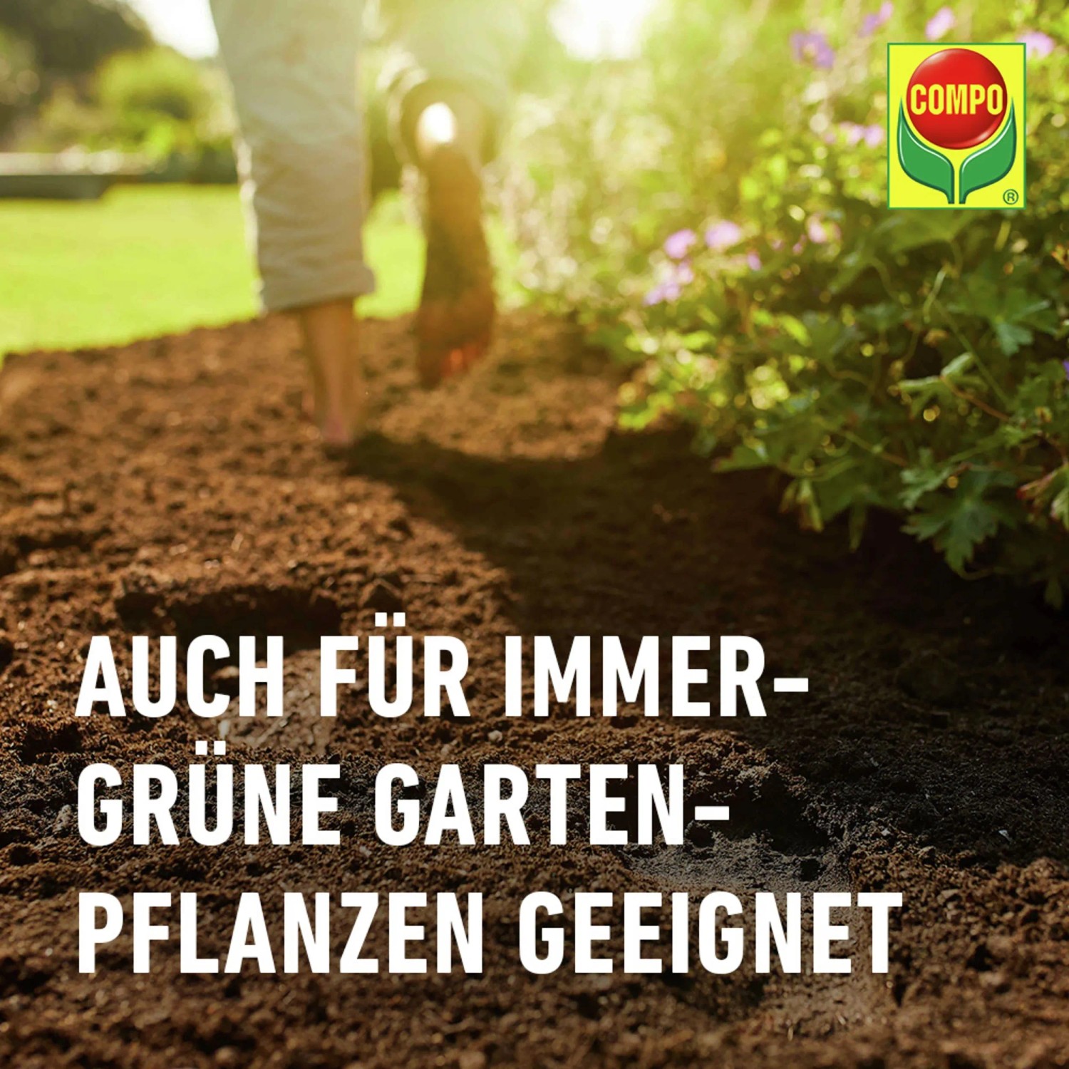 Compo Sana Pflanzenerde 60 l kaufen bei OBI