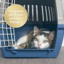 Katze entspannt in blauer Transportbox. Felisept Katzenspray für stressfreie Reisen.