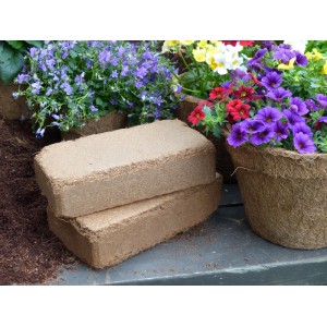 Proflora Kokosziegel - torffreie Blumenerde 80 l (10 Ziegel x 8 l)