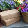 Proflora Kokosziegel, torffreie Blumenerde (10er Pack) mit Blumen.