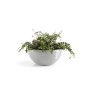 Ecopots Pflanztopf Brussels, weißgrau, 30 cm. Runde Pflanzschale mit grüner Pflanze.