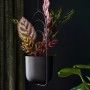 Schwarzes Hängepflanzgefäß (Ø 11,5 cm) aus Metall mit Pflanze, Blumenampel für Innenräume.