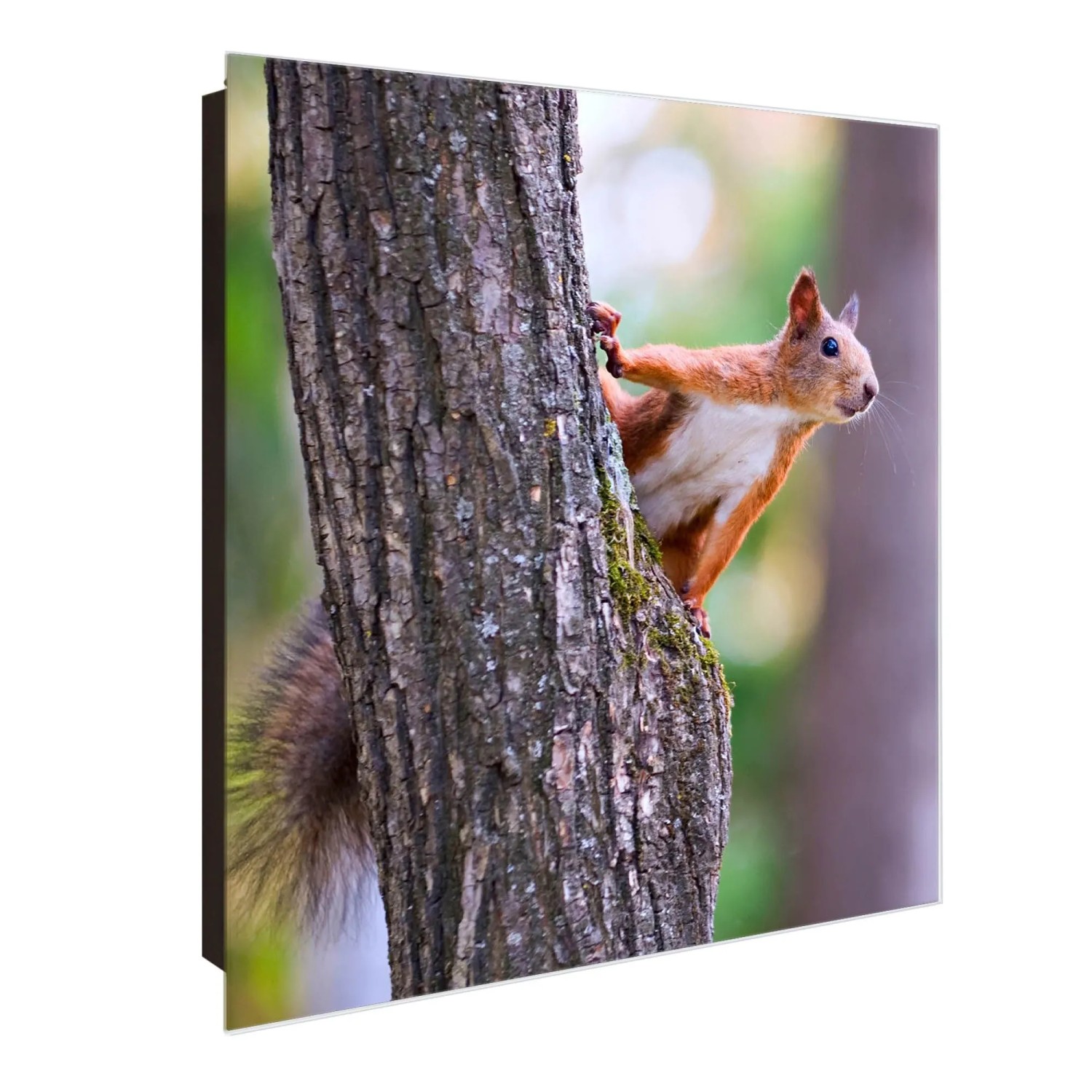 Banjado Großer Schlüsselkasten Glas 30x30cm Schwarz Scharnier Links 50 Hake günstig online kaufen