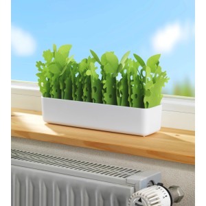 Wenko Luftbefeuchter Flora im weißen Behälter auf Fensterbank über Heizkörper.