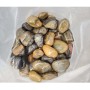 Aquagart 20kg Polierter Kiesel Glanzkies Flusskiesel Kieselsteine Gartenkies Zierkies Braun_4