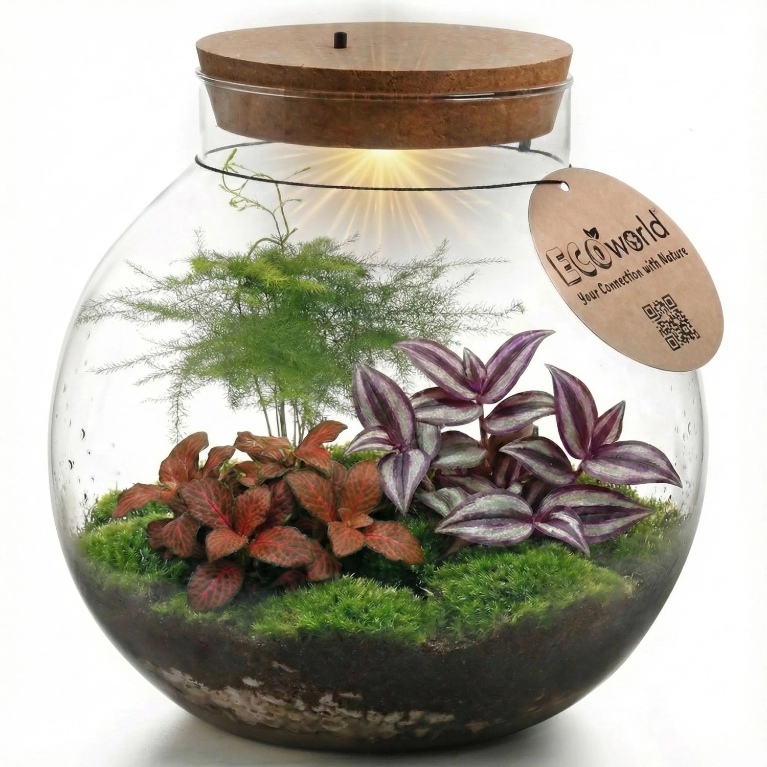 Vdvelde Terrarium Groß   Durchmesser 30 Cm   Pflanzensystem   Glas   DIY
