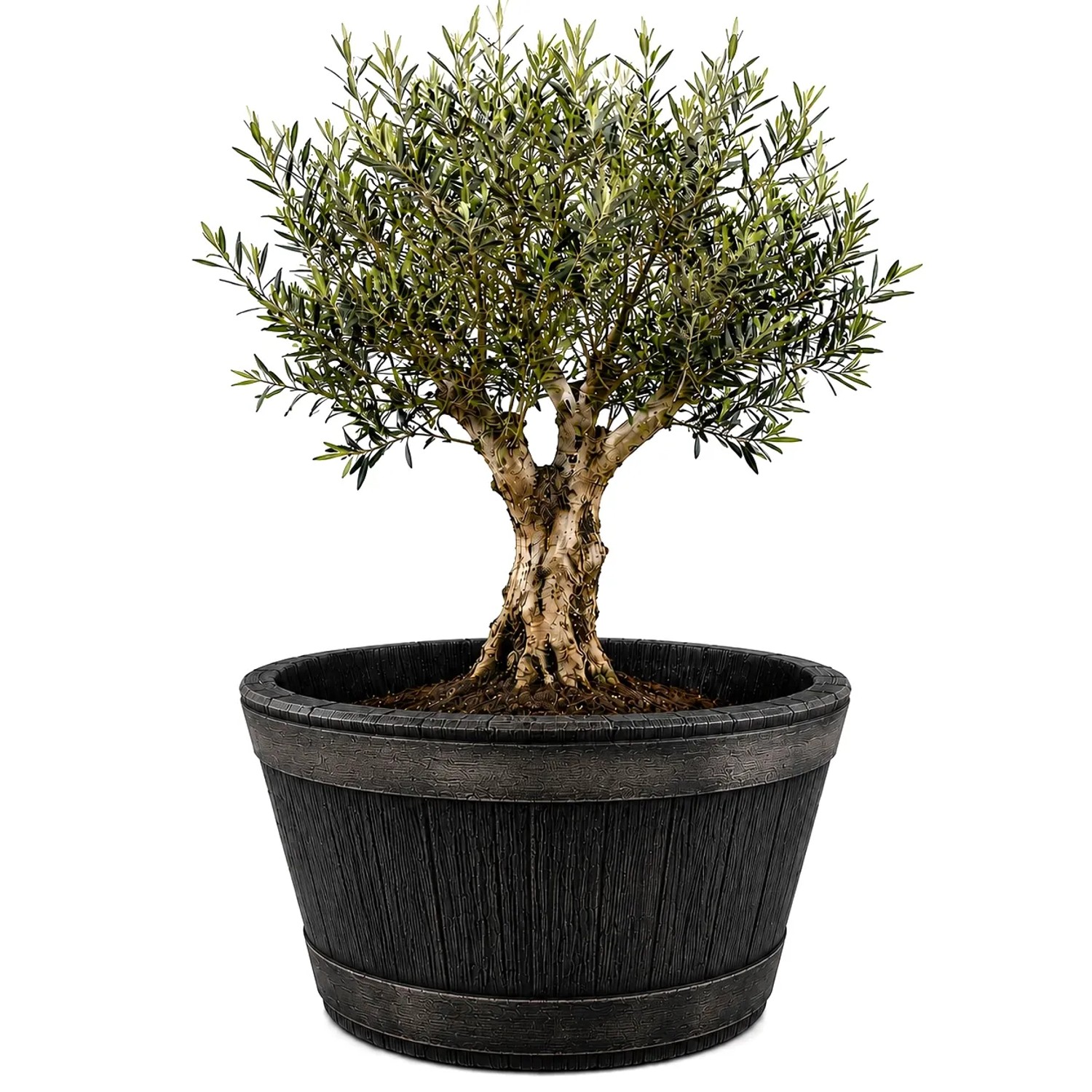 BigDean Weinfass XL Eichenfass Kunststoff Bottich Blumenkasten Trog Zuber Gartenteich Mini Teich Fass Nachbildung Durchmesser 63 cm Höhe 38 cm ca. 90