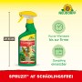 Neudorff Spruzit AF Schädlingsfrei 500ml Sprühflasche zur Schädlingsbekämpfung.