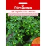 Dürr Samen Topf-Physalis Little Lanterns Saatgut mit grünen Blättern und Früchten in Hülle.