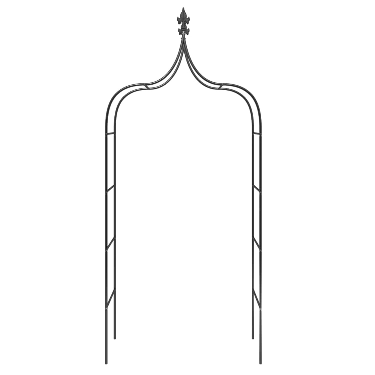 Zwei schwarze Gartenbögen von vidaXL aus Stahl, ideal als Rankhilfe für Kletterpflanzen.