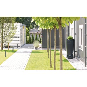 Anthrazitfarbene Waterform Regentonne Tube 230 l im Garten, bepflanzt.