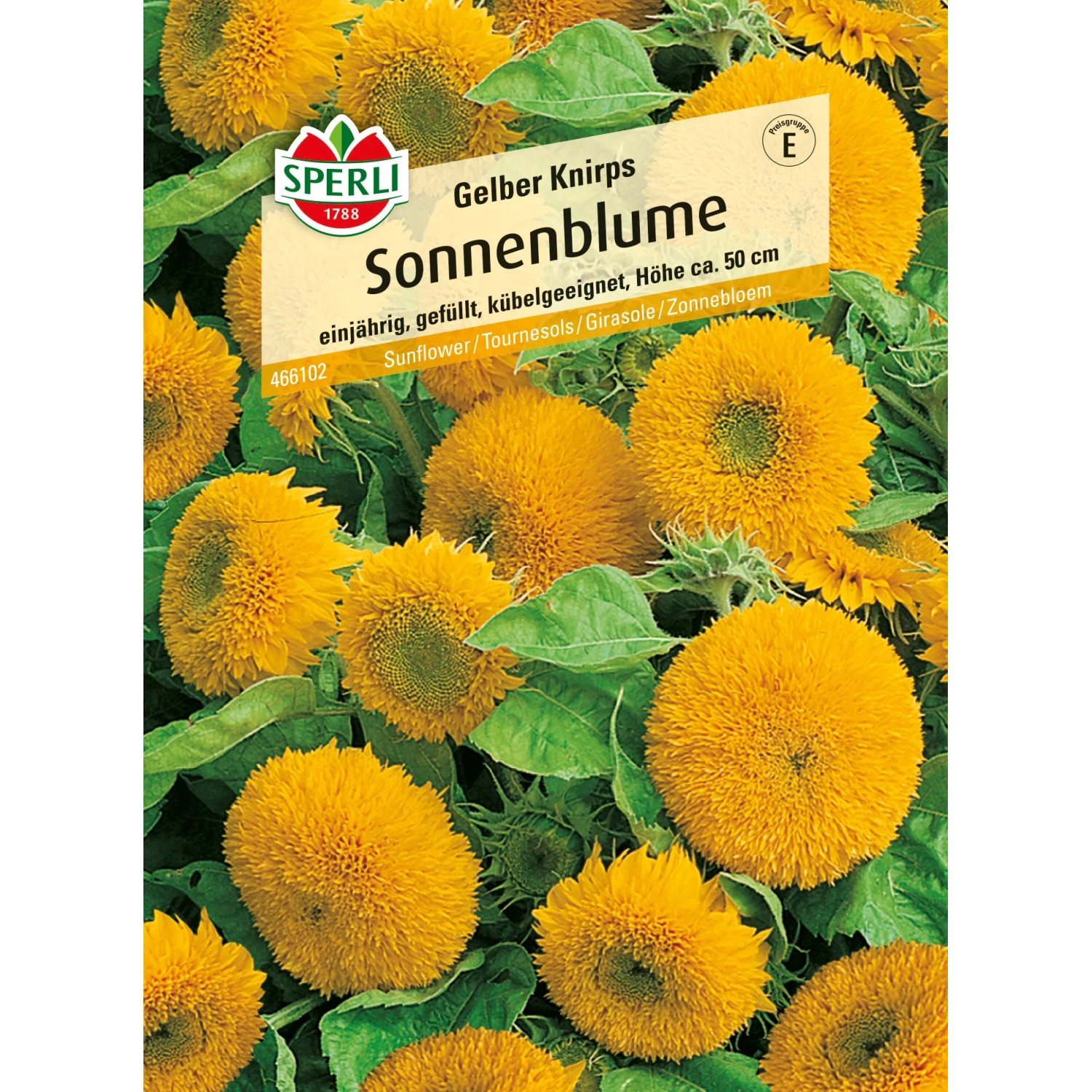 Sperli Sonnenblume "Gelber Knirps" Gelb