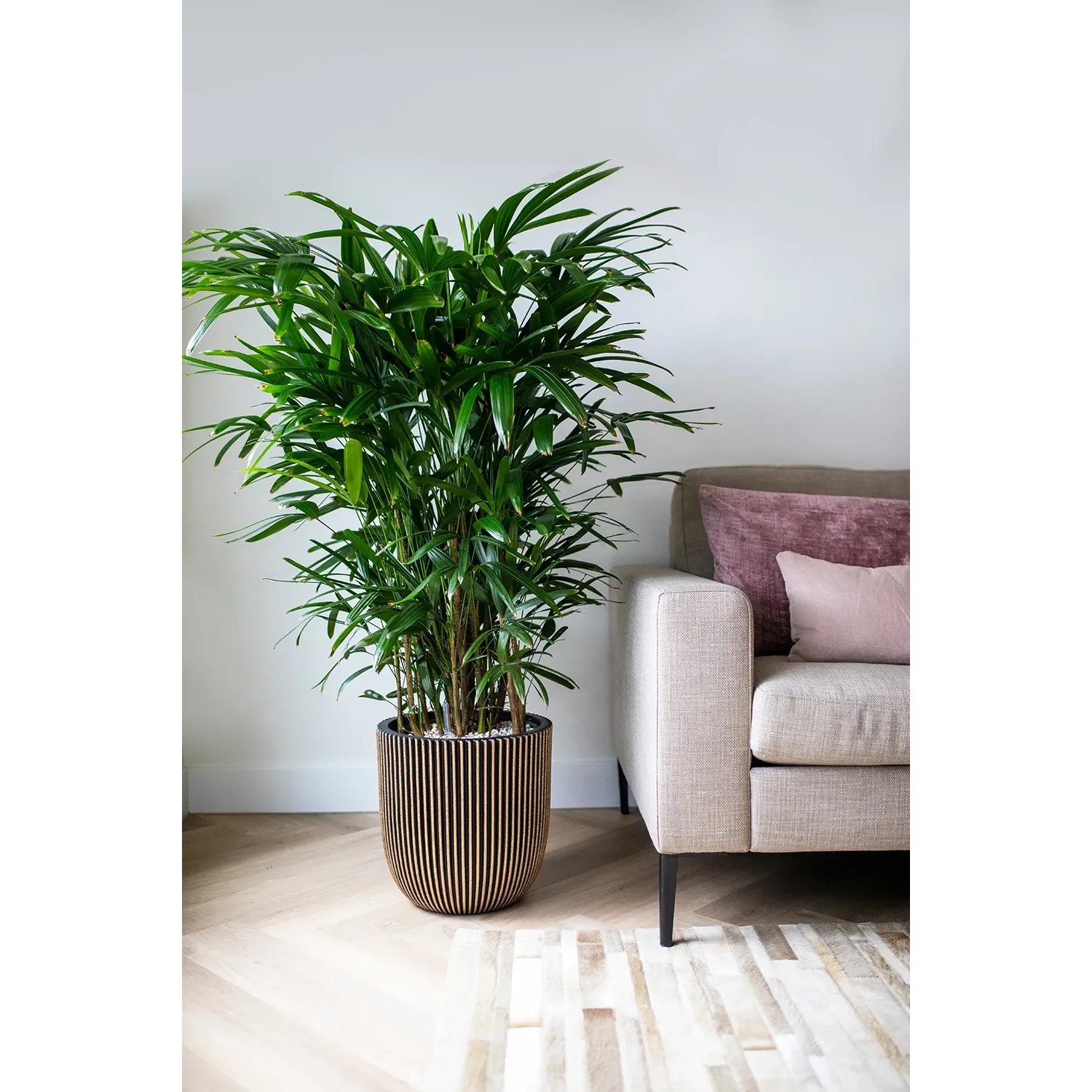 Floralo Geda CAGR 20807-BR Pflanztopf Genesis Rectangular 70 x 36 cm