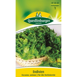 Samenpackung Quedlinburger Endivie 'Escariol grüner', ein grüner Herbst-/Wintersalat.