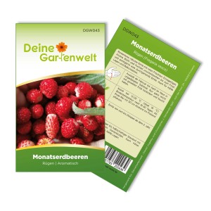 Samenpackung Monatserdbeeren Rügen von Deine Gartenwelt mit roten Erdbeeren.