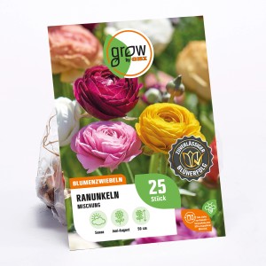 GROW by OBI Ranunkel Asiatische Mischung, Blumenzwiebeln mit bunten Blüten.