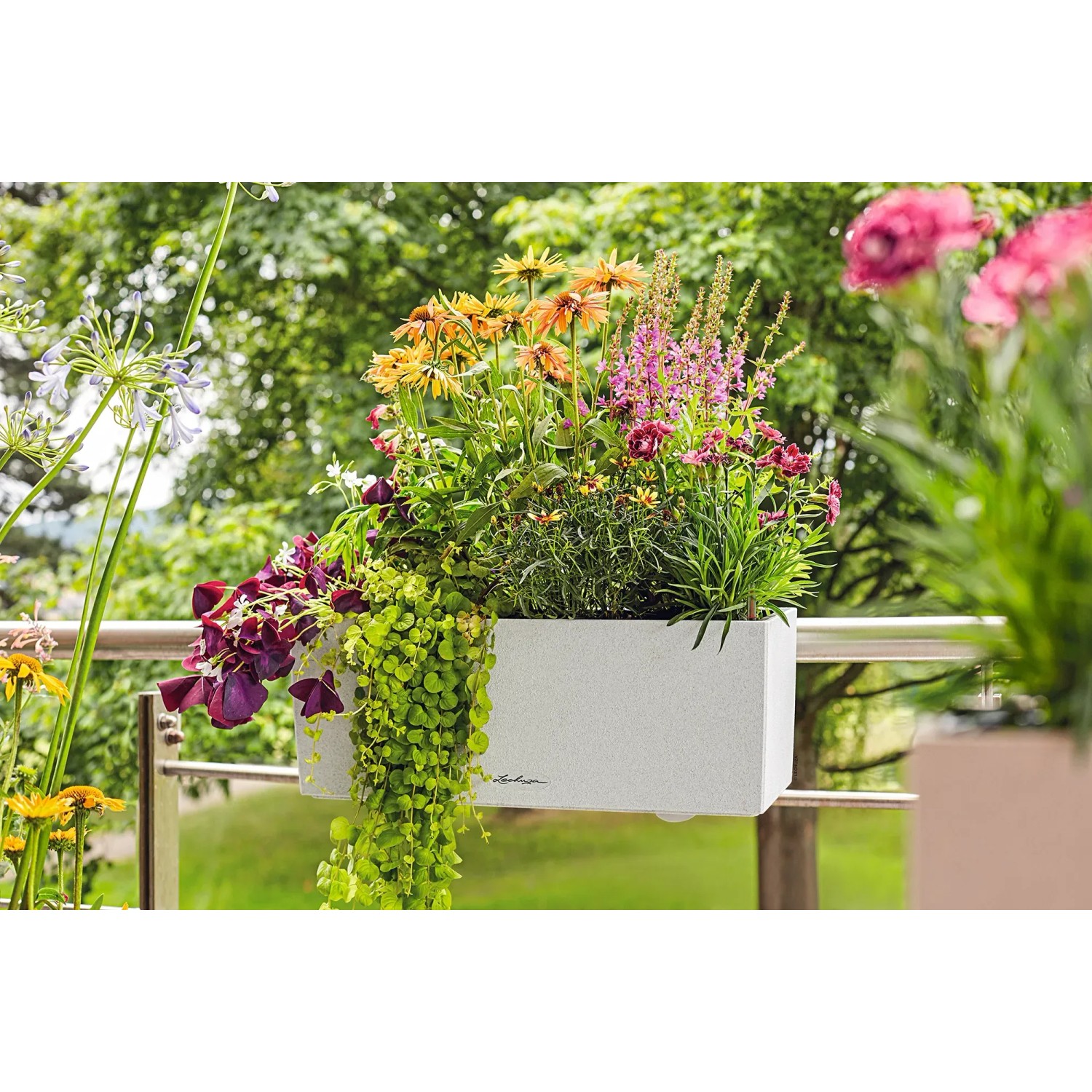 Lechuza Balconera Stone 50 Quarzweiß, bepflanzter Blumenkasten mit Bewässerungssystem auf Balkon.