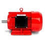 Roter EBERTH Elektromotor 400V, 5,5kW, 2900 U/min, Drehstrommotor für Zubehör Akkugeräte.