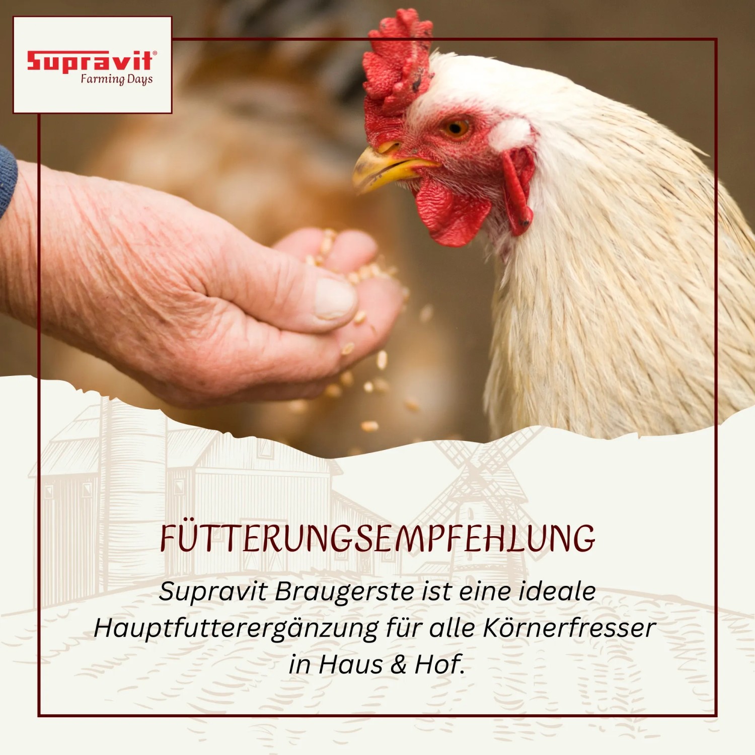Supravit Braugerste Ergänzungsfutter für Hühner_6