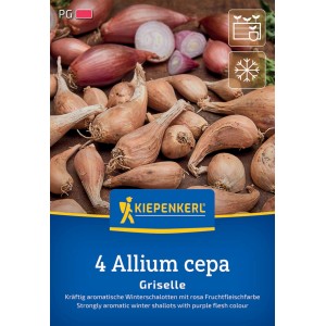Kiepenkerl Winterpflanzschalotten Griselle, 4 Stück. Rosa Schalotten auf der Packung.