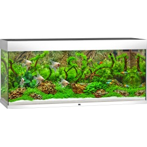 Juwel Aquarium-Set Rio LED Weiß, 240 l, bepflanzt mit Fischen.