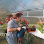 KGT Tischgestell Rhodo III Alu blank im Gewächshaus mit Frau beim Gießen von Pflanzen.