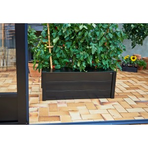 Schwarzer Juliana Pflanzkasten (37x55x95cm) mit Tomatenpflanze im Gewächshaus-Zubehör-Look.