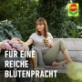Frau auf Bank mit Compo Düngestäbchen für Balkonpflanzen, üppige Blütenpracht im Garten.