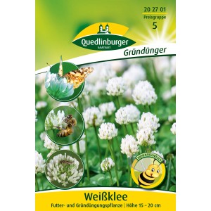 Quedlinburger Weißklee: Mehrjährige Blumensamen-Mischung, ideal als Gründüngung und Futterpflanze.