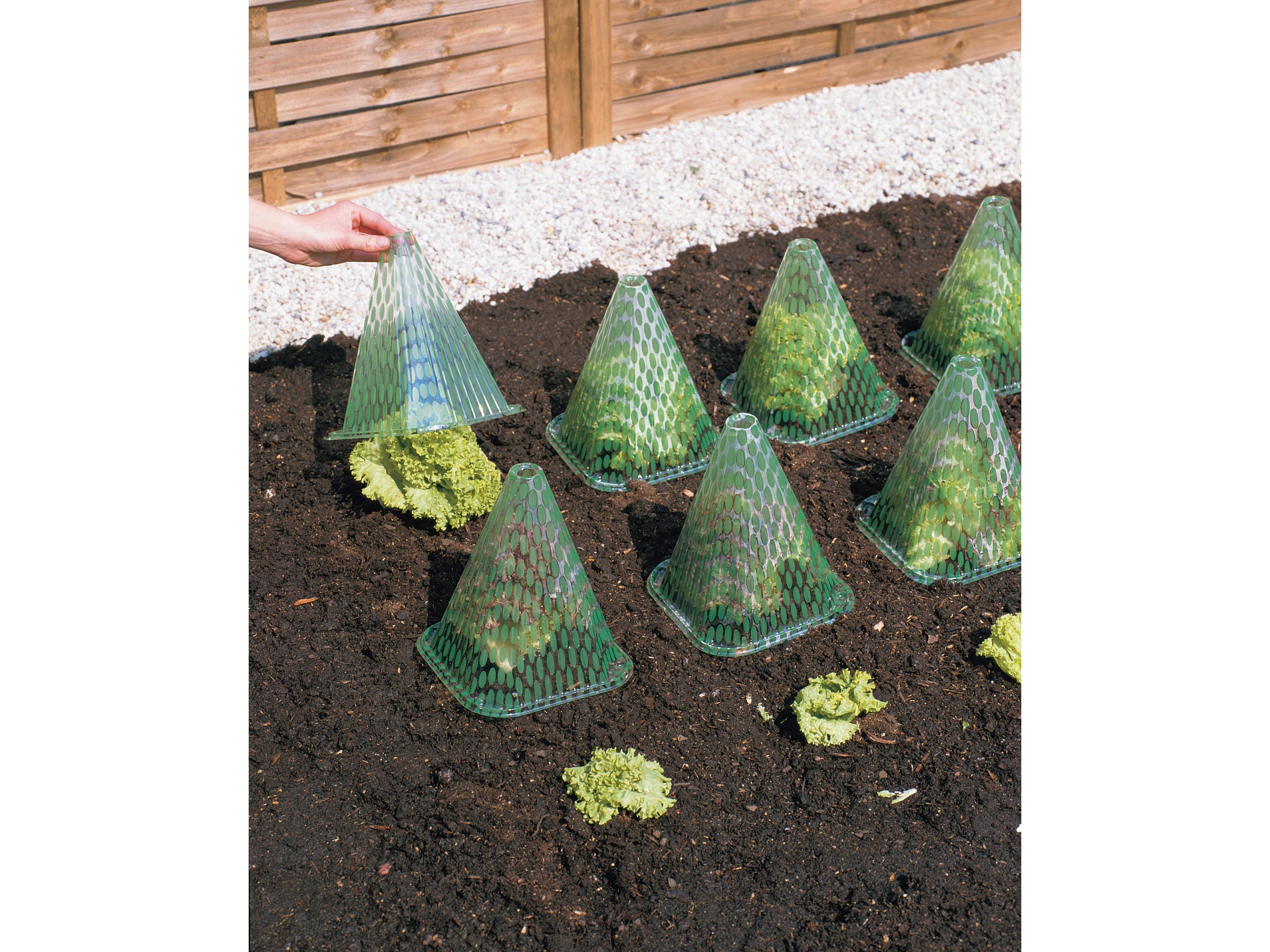 10x Draht-Pflanzenschutz Quadratisch 30,5 Cm – Pflanzenkäfige Aus Vinylbeschichtetem Draht Mit Erdspießen & Bändern