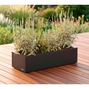 Anthrazitfarbener Herstera Garden Pflanzkübel Cube aus Metall, bepflanzt mit grünen Pflanzen.