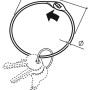 Conacord Warenring aus Stahl, 3 mm Durchmesser, mit Schlüsselanhänger und Schlüsseln.