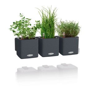 Lechuza Green Wall Home Kit Color Schiefergrau mit 3 Kräutertöpfen.