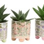 Drei Sukkulenten im floralen Keramiktopf mit Füßen, verschiedene Designs.